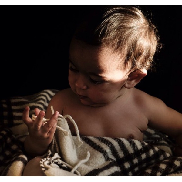 Kaip prižiūrėti vilną?